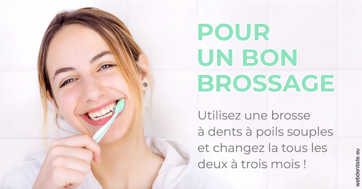 https://www.ortho-brunet.fr/Pour un bon brossage 2