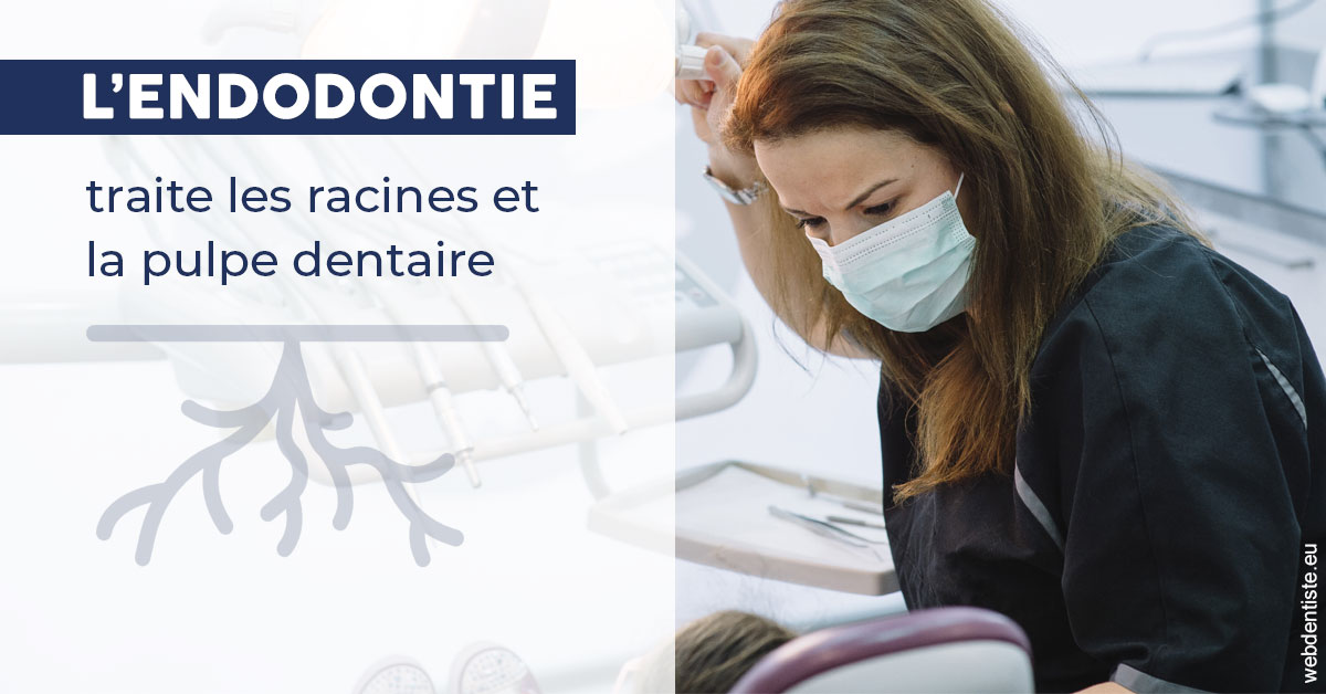 https://www.ortho-brunet.fr/L'endodontie 1