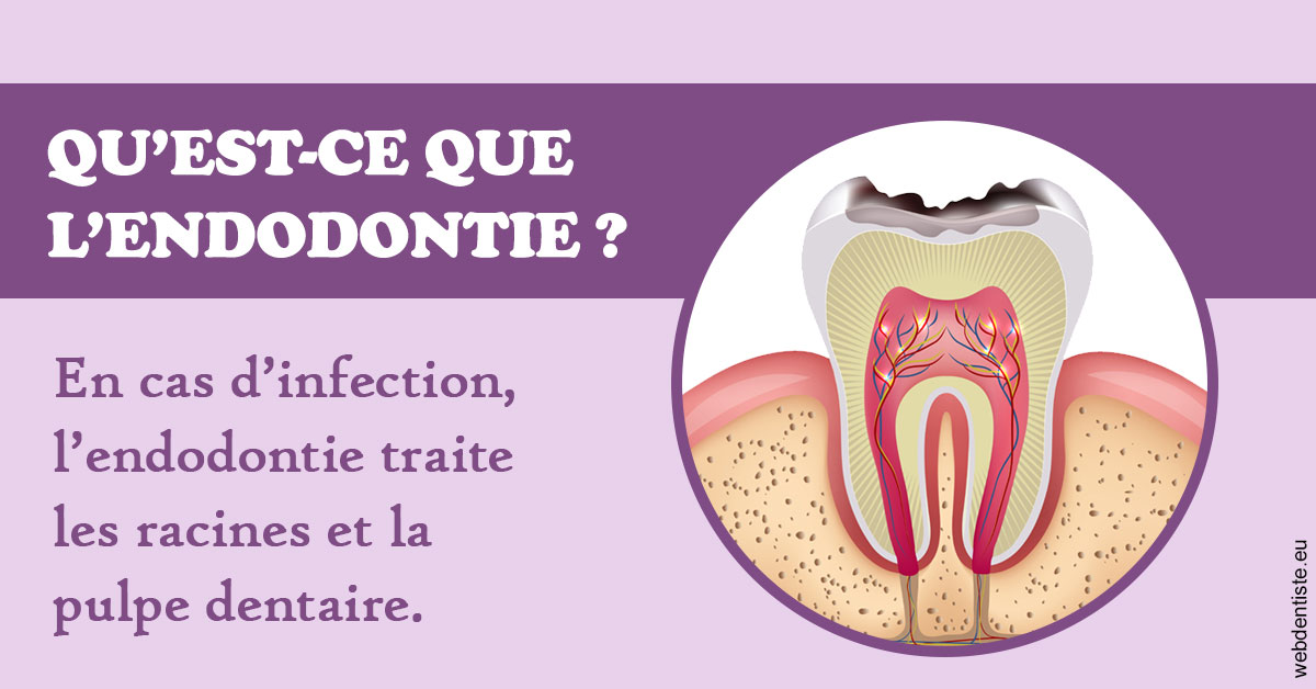 https://www.ortho-brunet.fr/2024 T1 - Endodontie 02