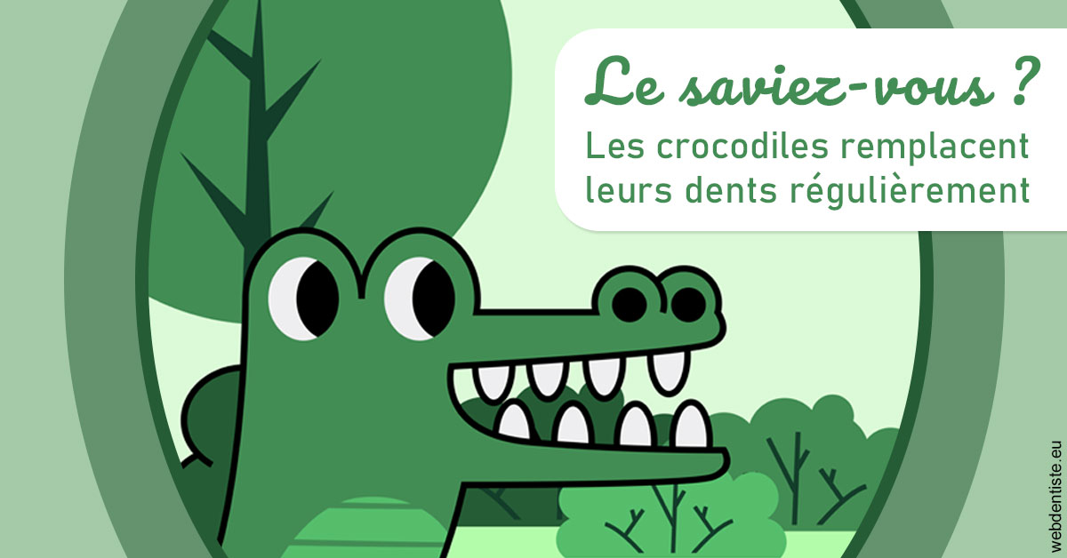 https://www.ortho-brunet.fr/Crocodiles 2