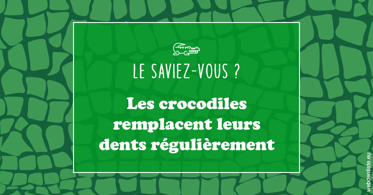 https://www.ortho-brunet.fr/Crocodiles 1