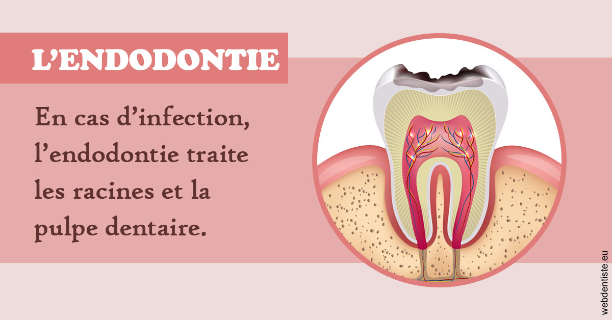 https://www.ortho-brunet.fr/L'endodontie 2